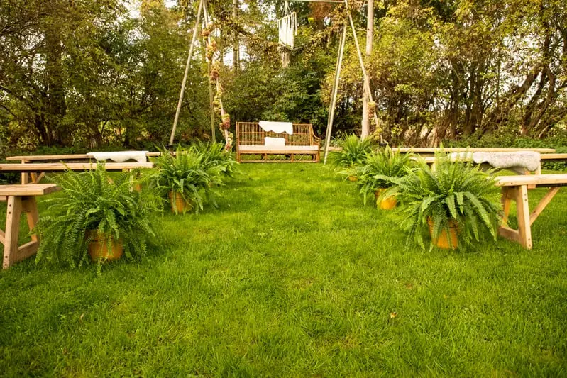 Outdoor Botanical Wedding Ceremony with Fern Styling
