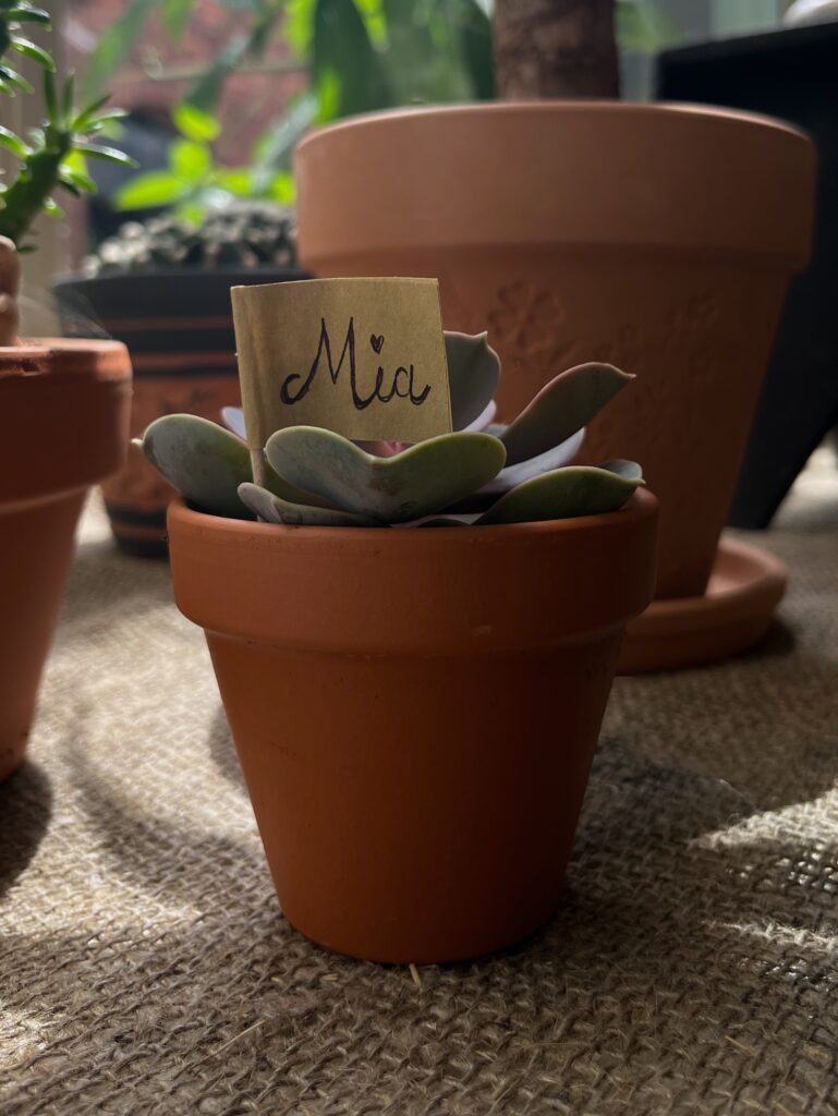 20230623 110713191 iOS