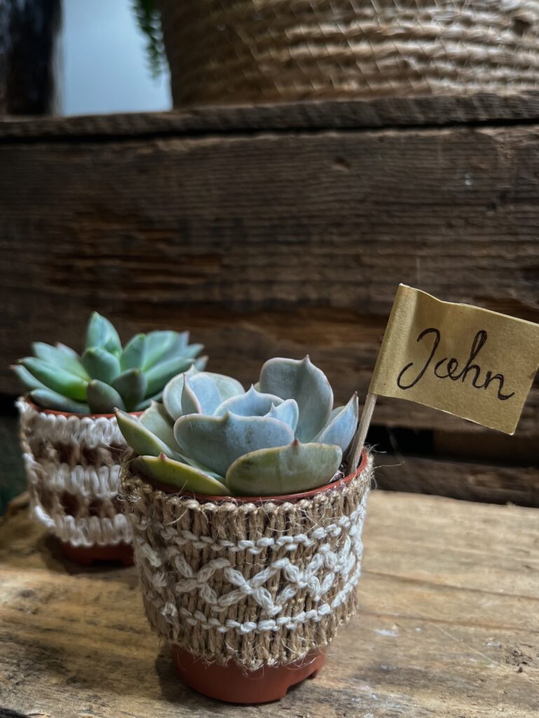 Personalised Succulent Wedding Favours with Name Tags
