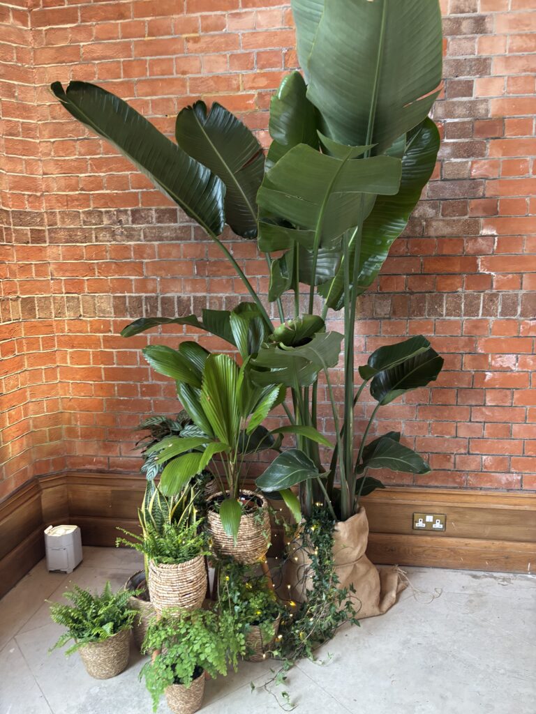 Statement Botanical Installation for Wedding Venues