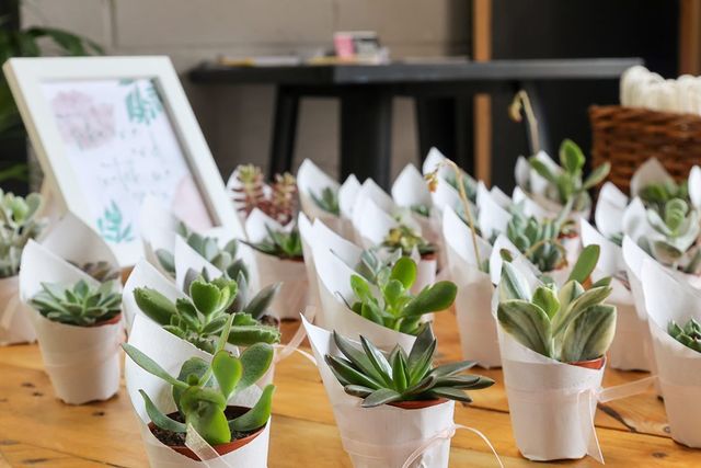 Succulent Wedding Favours for Botanical Table Styling