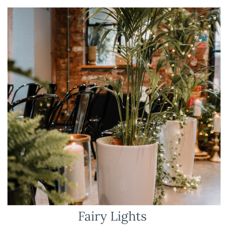 Fairy lights styled in living plaants for wedding décor, foliage and plants for a romantic wedding setting