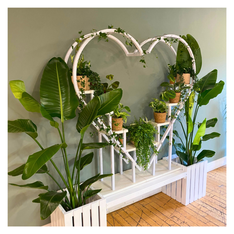 Indoor heart-shaped greenery backdrop with potted plants and white display frame.