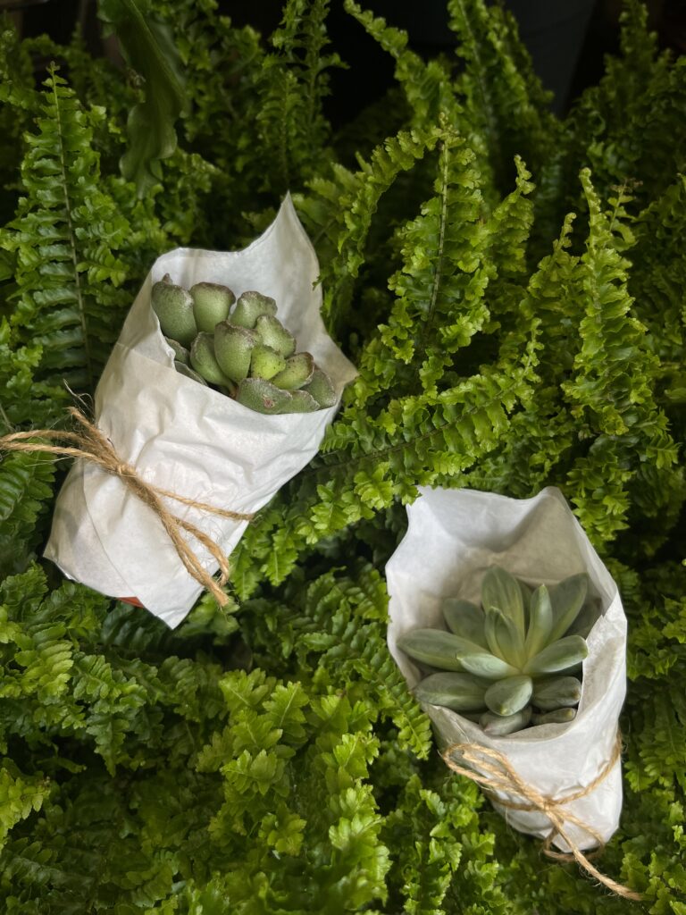 20230623 115343815 iOS