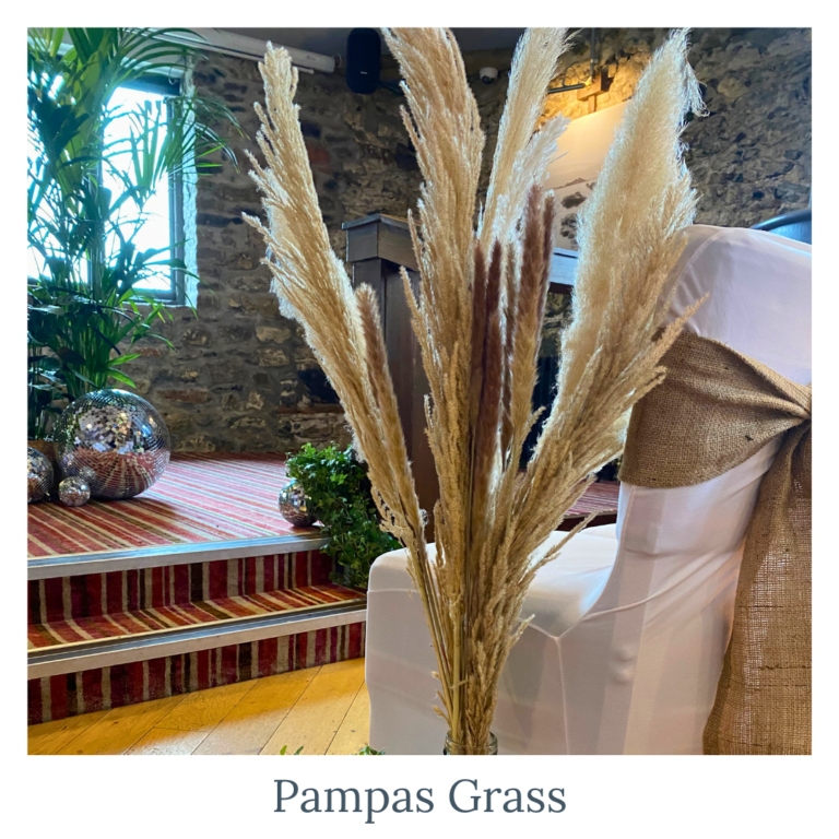 Neutral pampas grass arrangement used as wedding ceremony décor