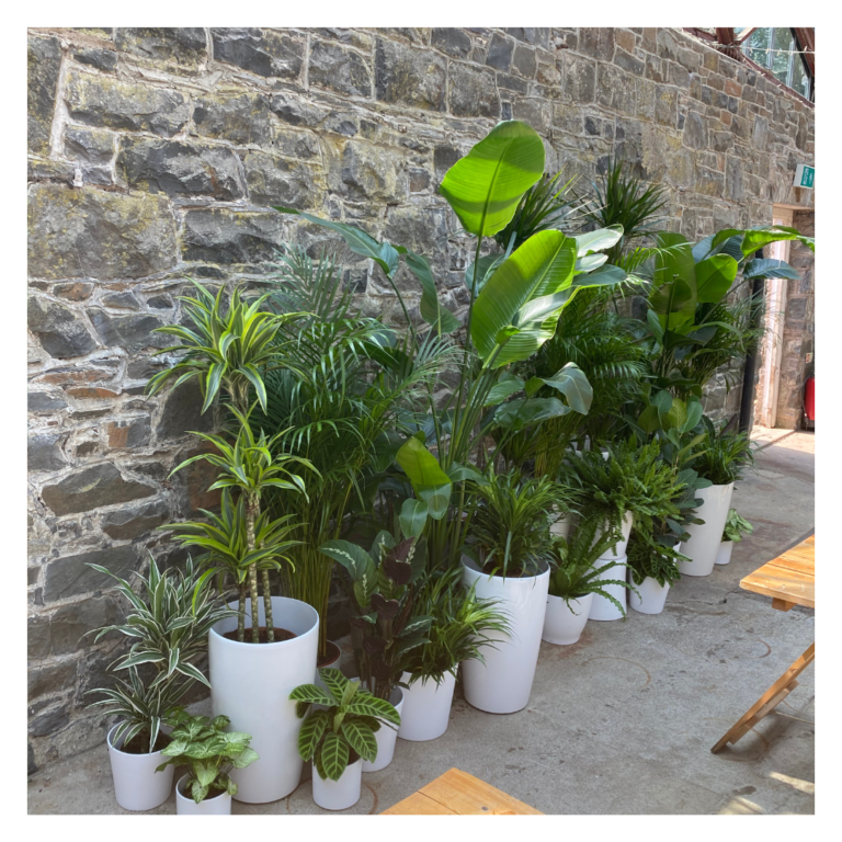 Wedding greenery styling with palms and foliage arranged along a stone venue wall.