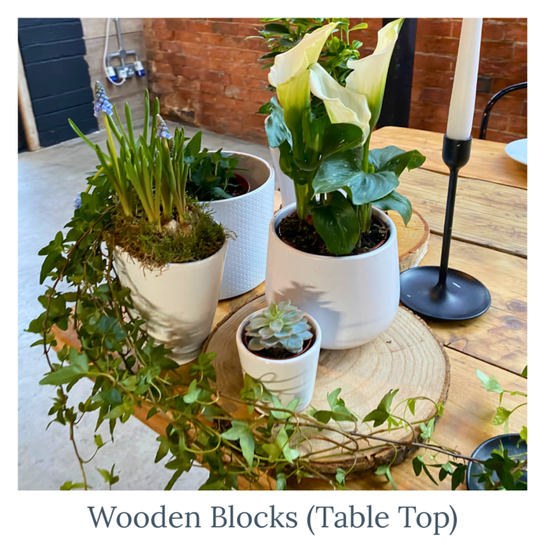 Wooden aisle blocks with potted greenery lining a wedding ceremony aisle