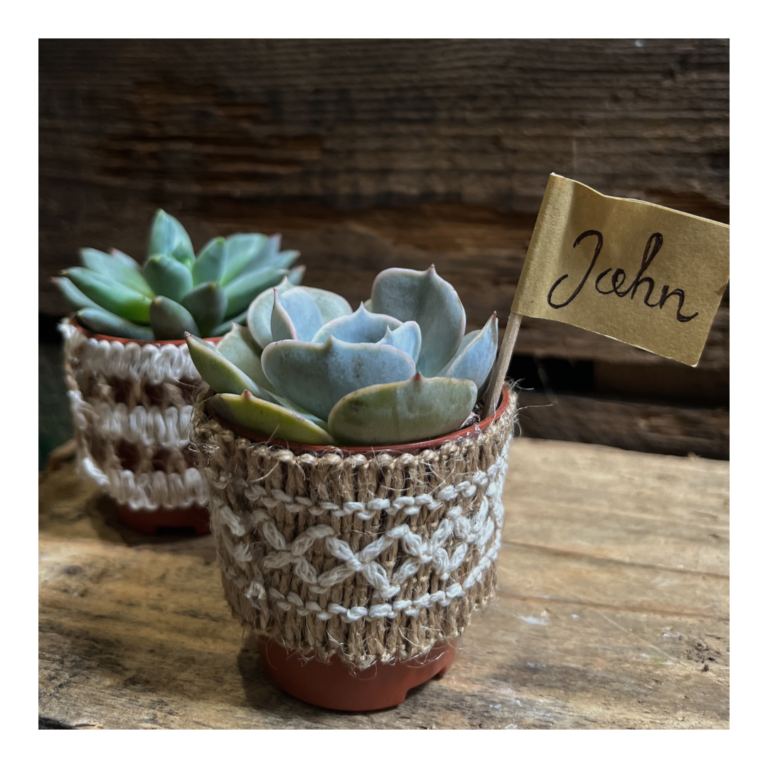 Living plant favour Succulents in hessian on rustic table with name tags