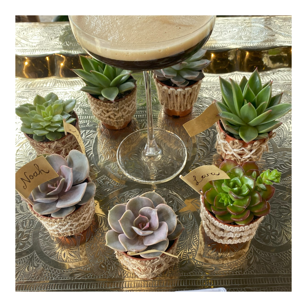 Living plant favours on Succulents in hessian with name tags