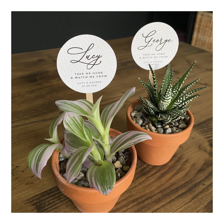 Living Plant wedding Favours in terracotta pots with circle name tags.